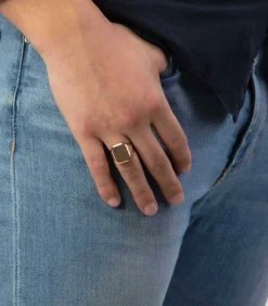 14 Karaat 2-tone zegelring zeskant