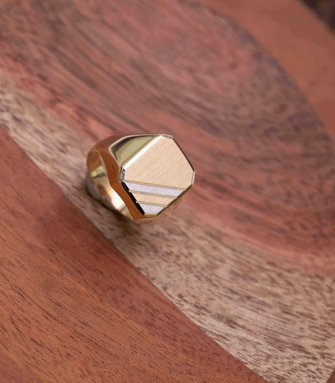 14 Karaat 2-tone zegelring zeskant