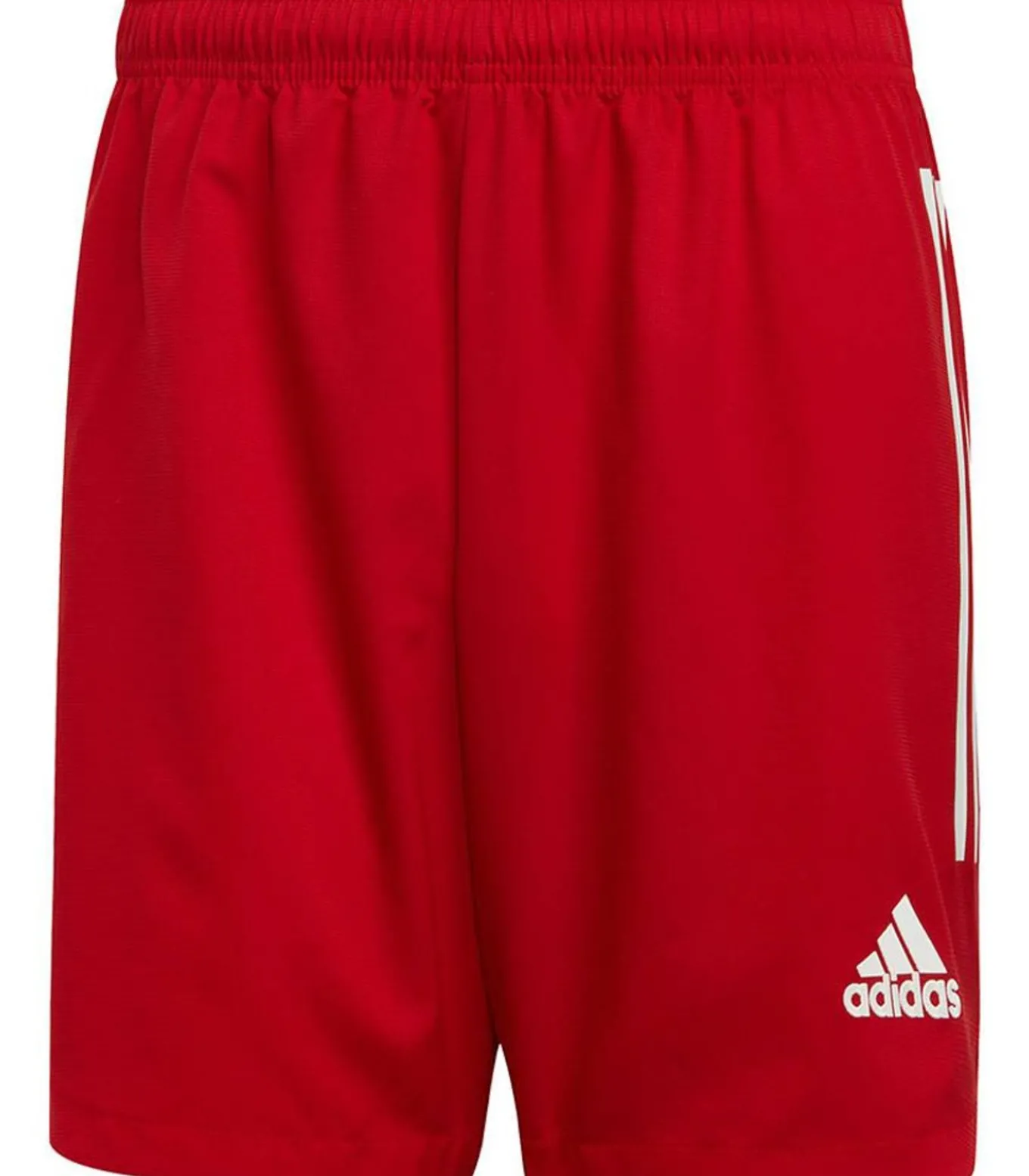 CONDIVO 20 - Korte Broek - Rood