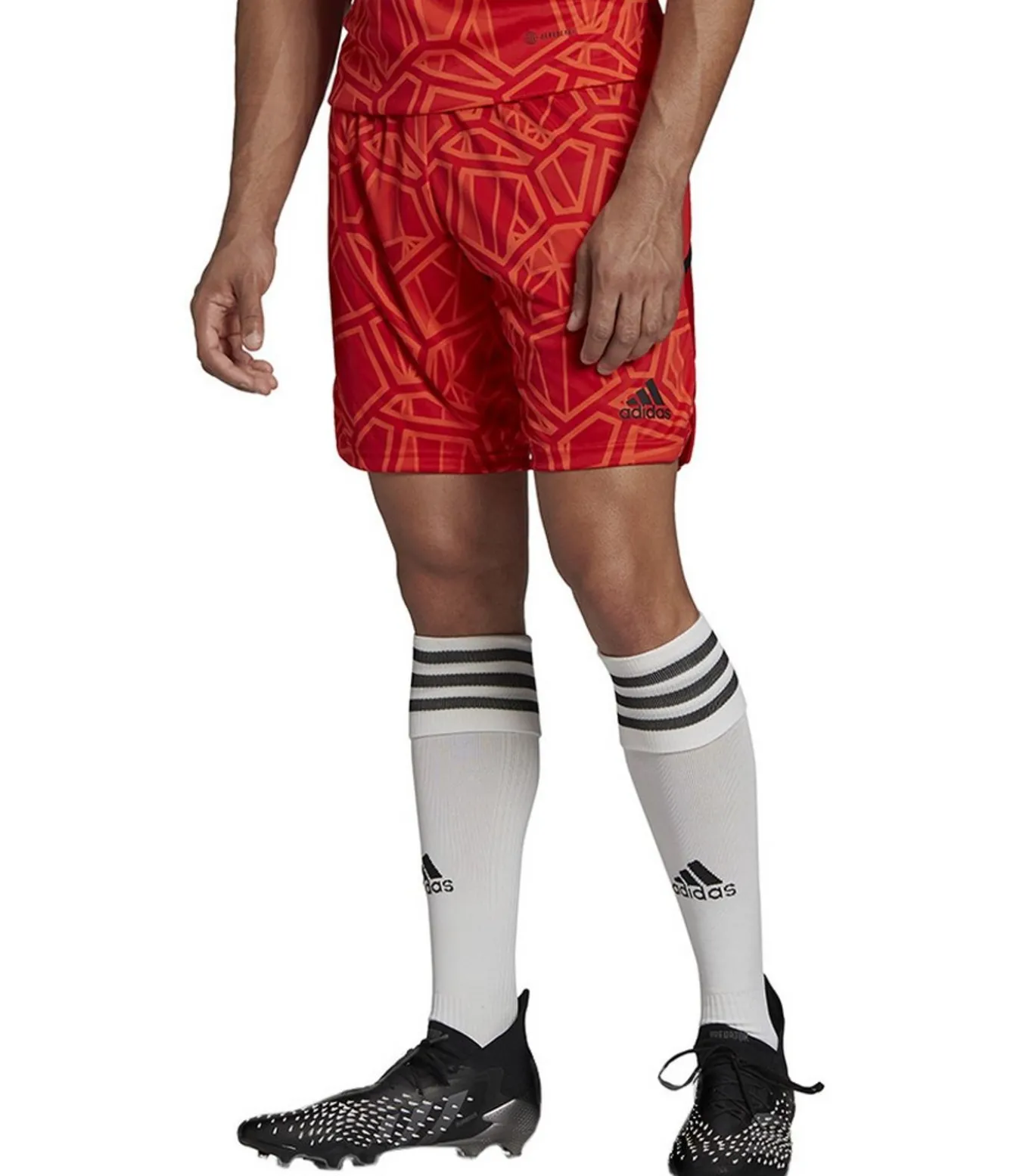 CONDIVO 22 - Korte Broek - Rood
