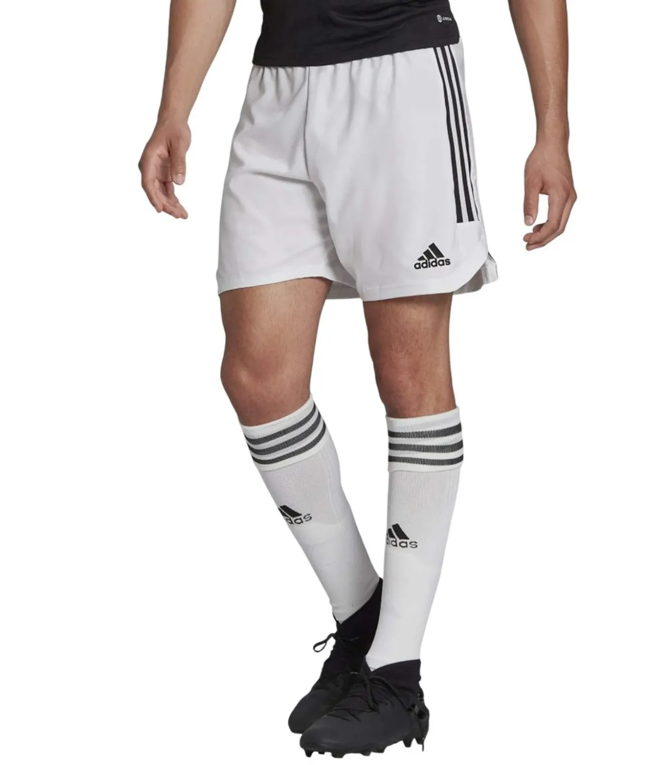 CONDIVO 22 - Korte Broek - Wit