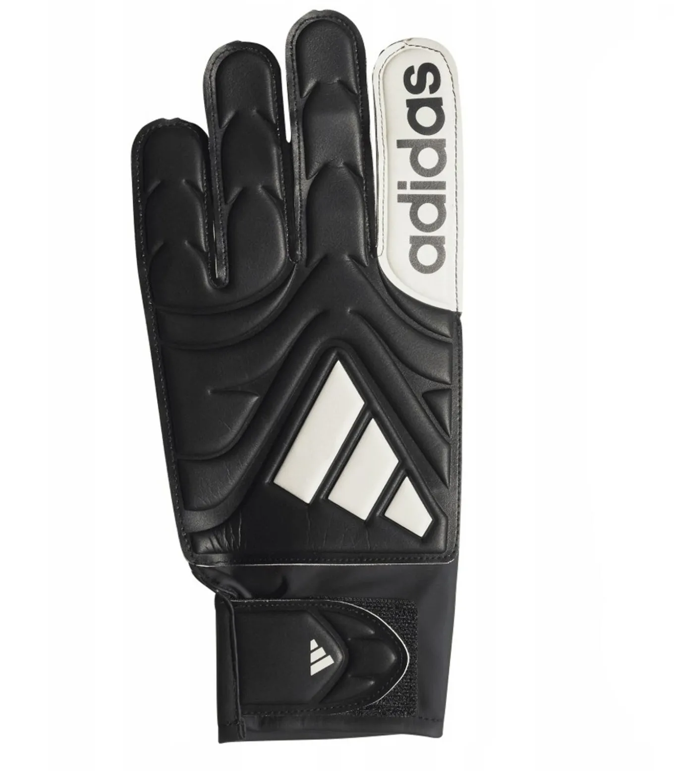 COPA CLUB - Handschoenen - Zwart