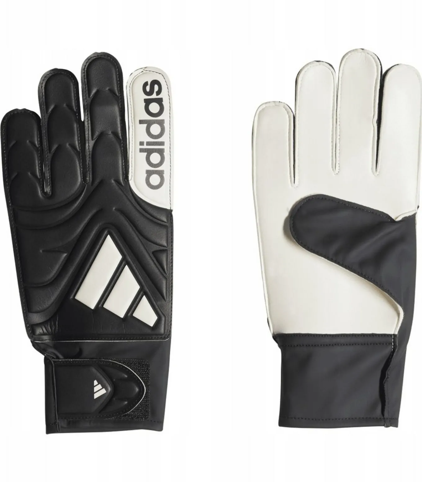 COPA CLUB - Handschoenen - Zwart