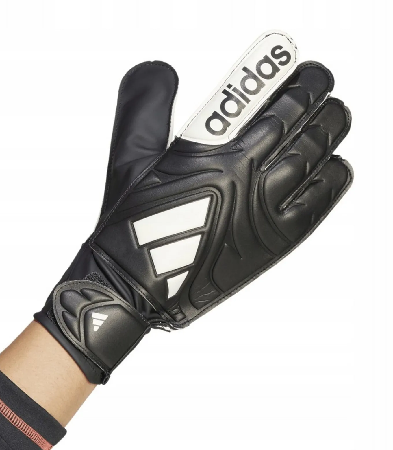 COPA CLUB - Handschoenen - Zwart