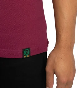 Driekleurig Piqué Poloshirt Met Punt