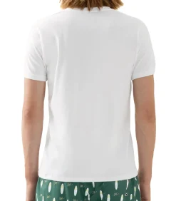 Dry Cotton - onder t-shirts