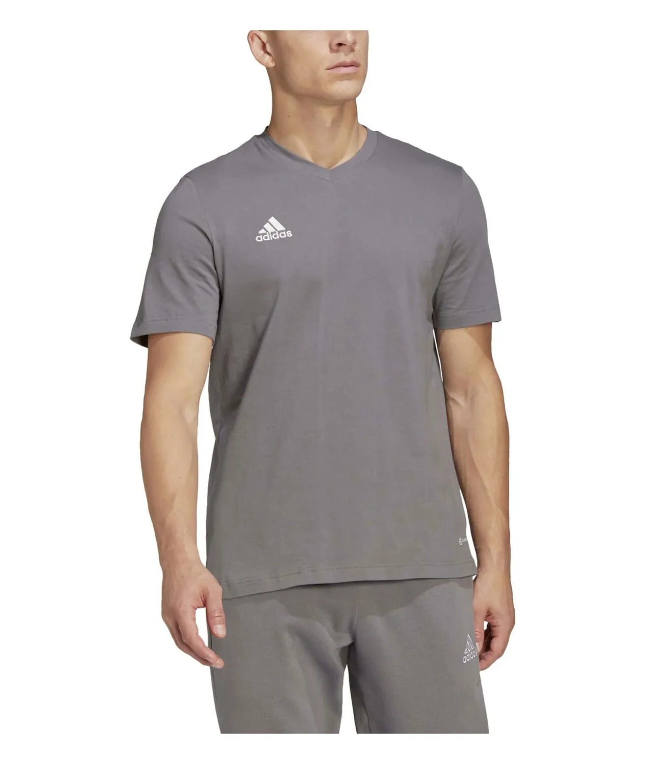 Ent22 Tee