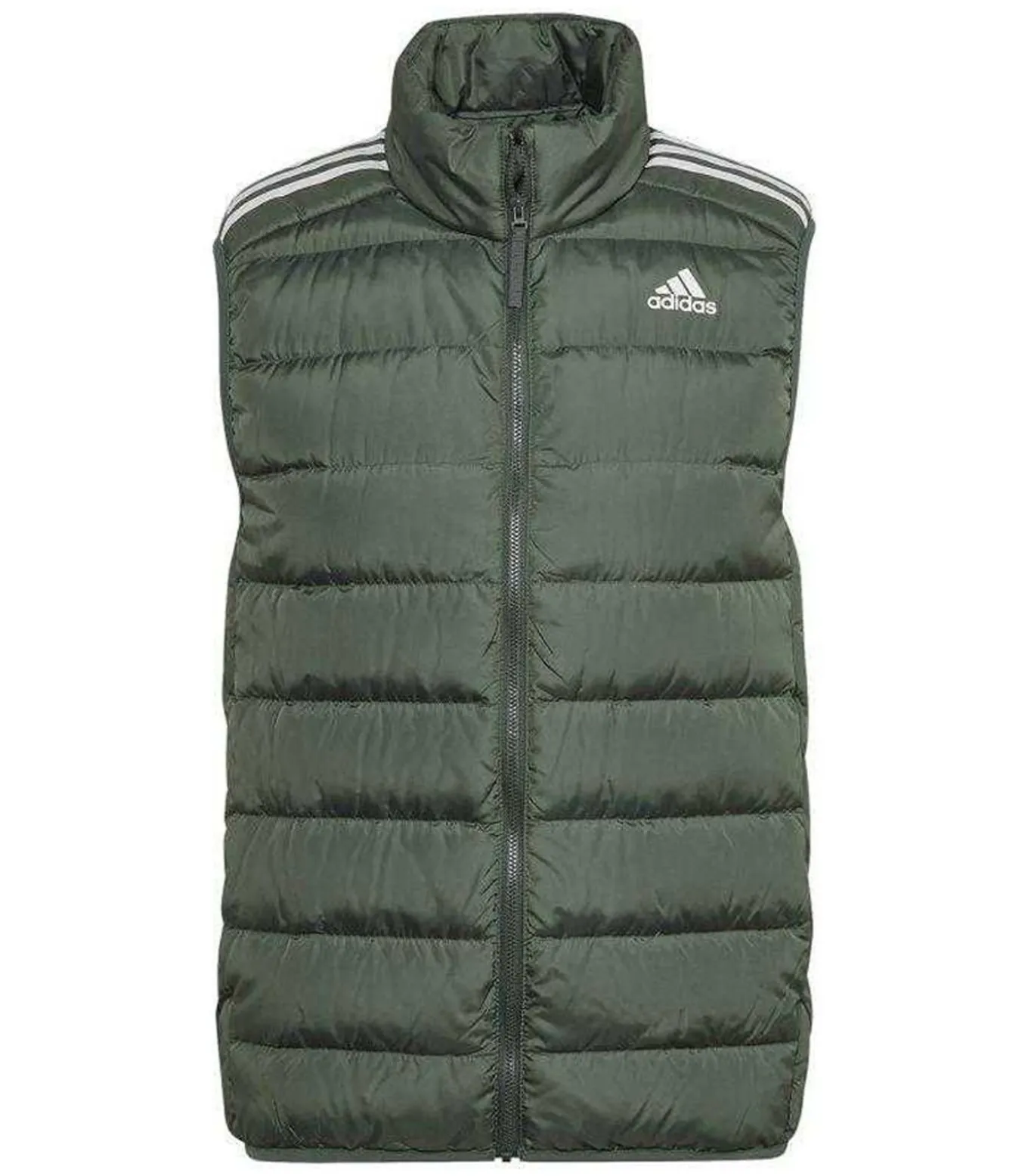 ESSENTIALS - Gi - Groen