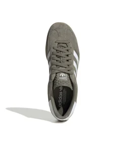 Gazelle Indoor