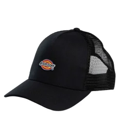Hanston Trucker Pet