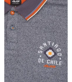 Heren poloshirt met lange mouwen in heideblauw