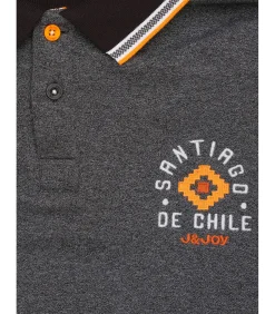 Heren poloshirt met lange mouwen in heidegrijze kleur