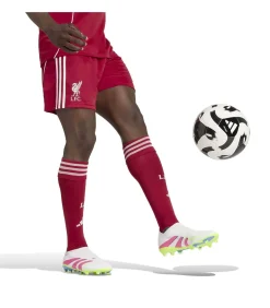 Lfc H Sho