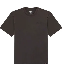 Plentywood Ss Tee