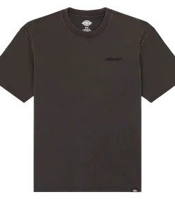 Plentywood Ss Tee
