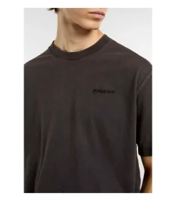 Plentywood Ss Tee