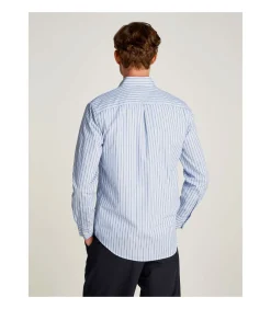 Poplin Thin Stripe R
