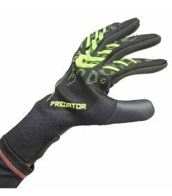 Pred Gl Pro