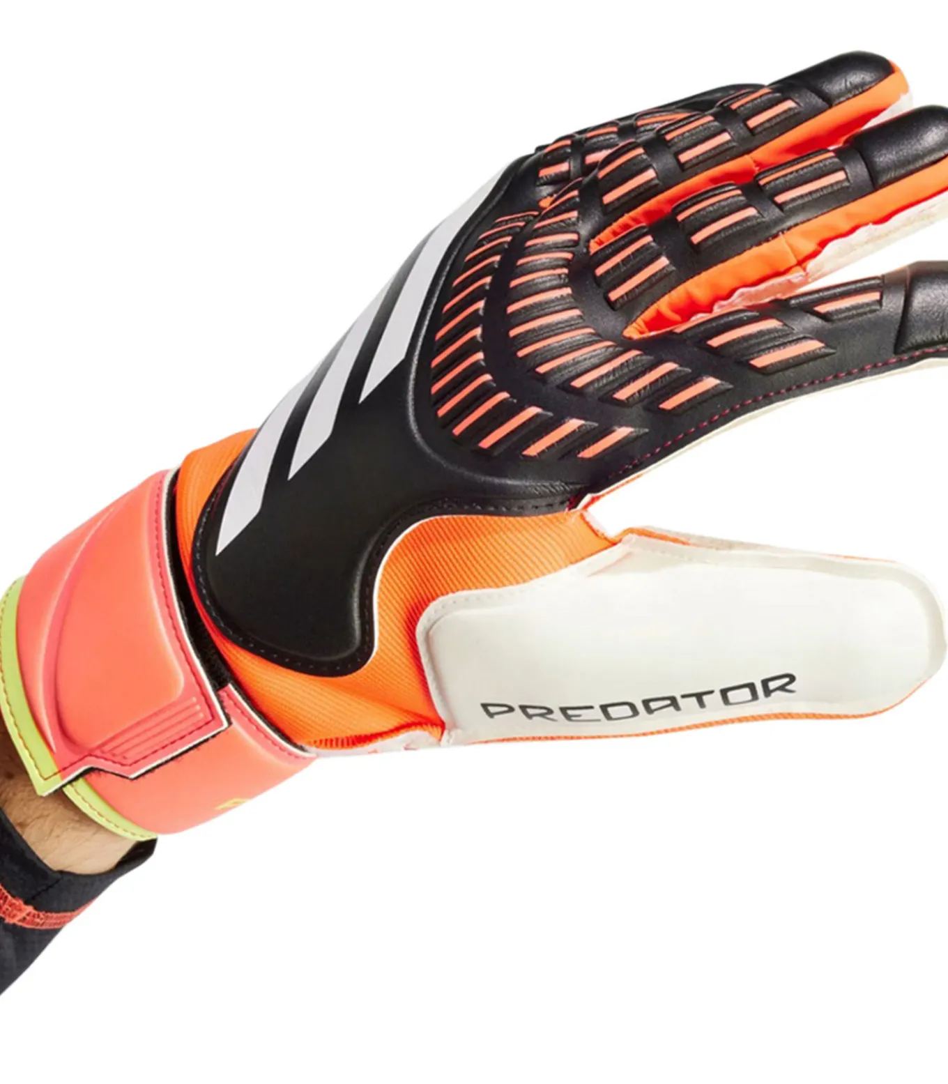 PREDATOR MTC - Handschoenen - Wit