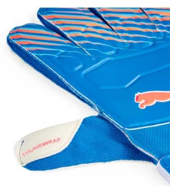 Puma Ultra Play Rc