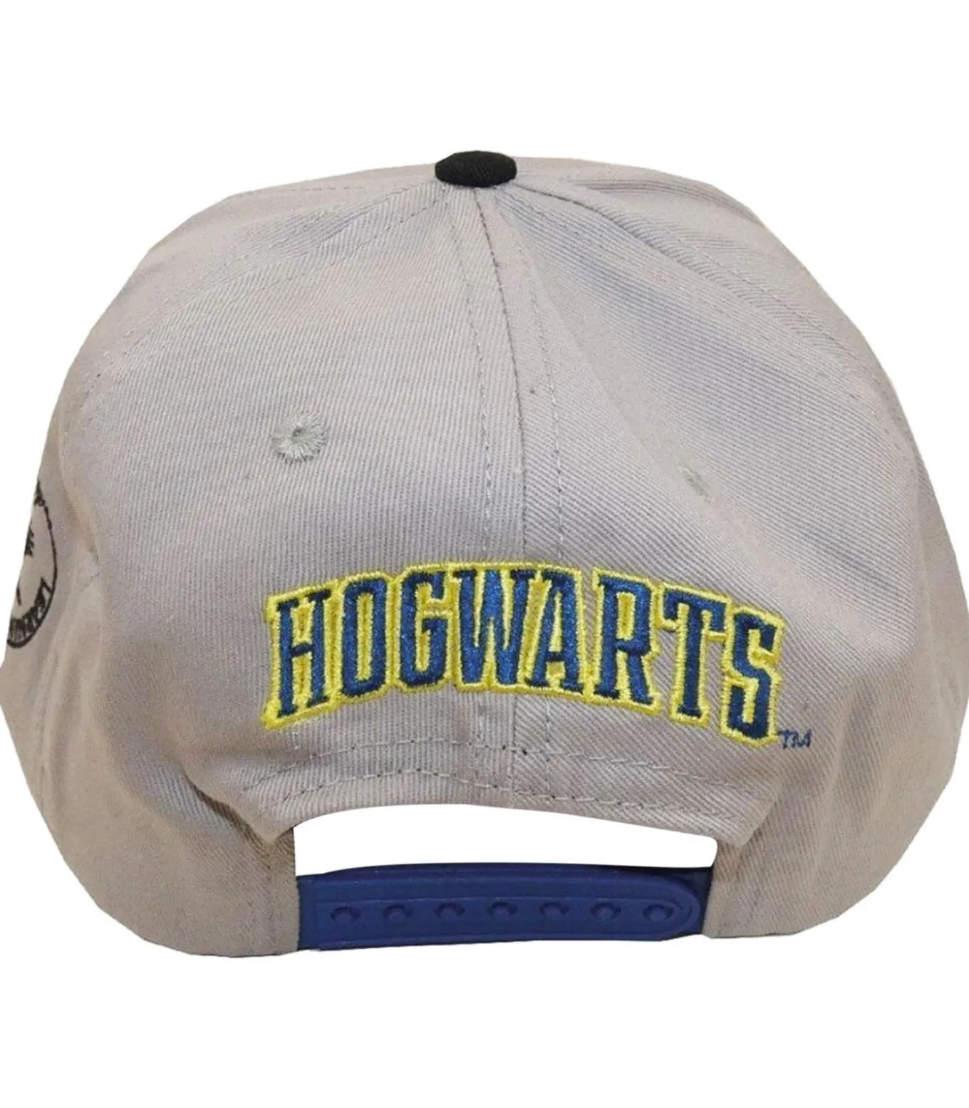 RAVENCLAW - Kap - Grijs