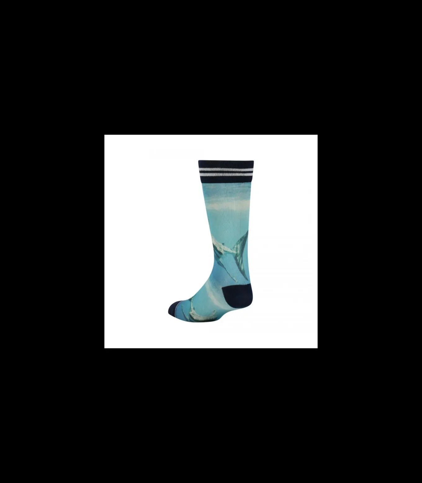 Sock my Shark