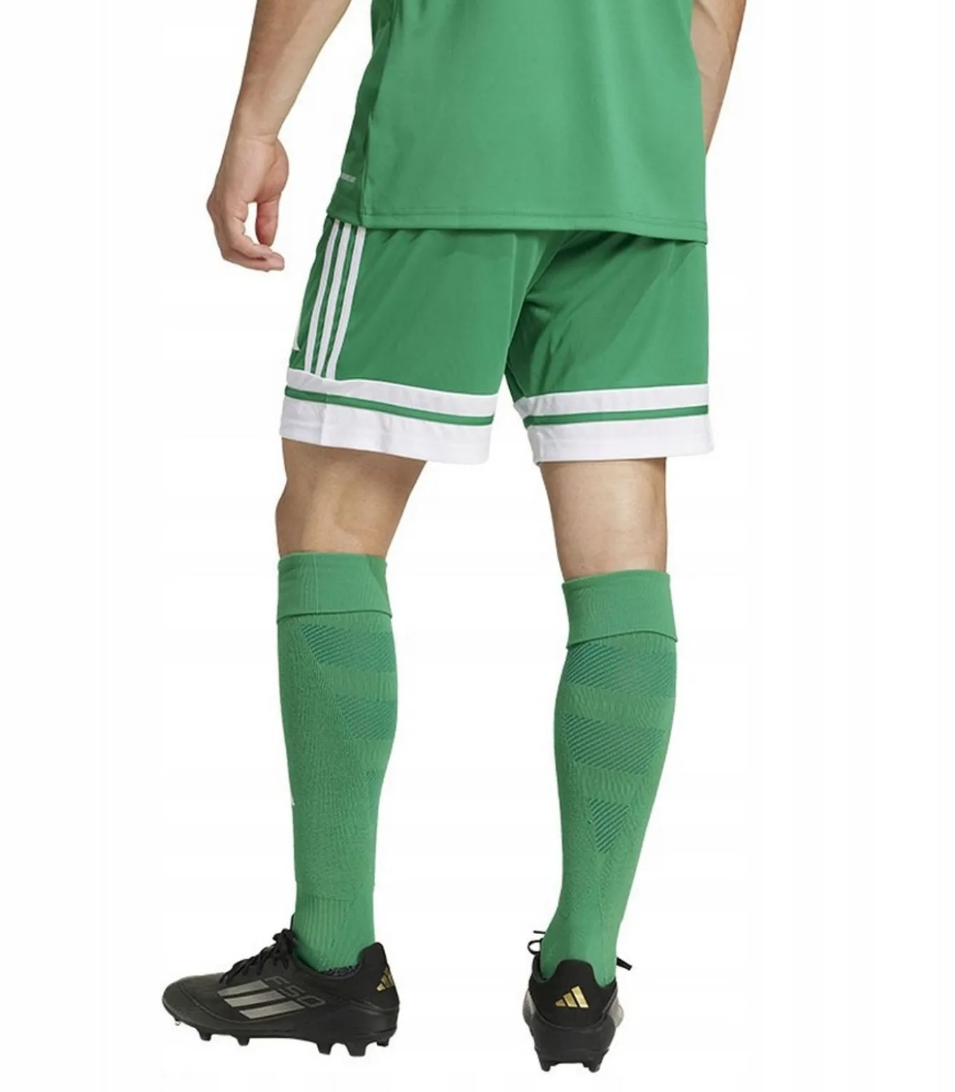 SQUADRA 25 - Korte Broek - Groen