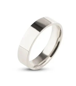 Stalen Ring - Hoogglans Zilver Kleurig - 6mm