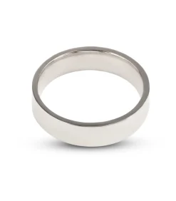 Stalen Ring - Hoogglans Zilver Kleurig - 6mm