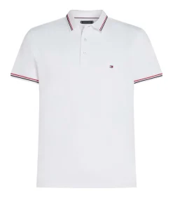 Tipped Slim Fit Polo