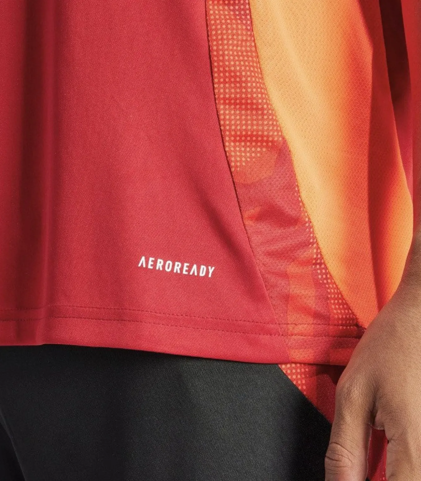 TIRO 24 COMPETITION - Jersey - Rood