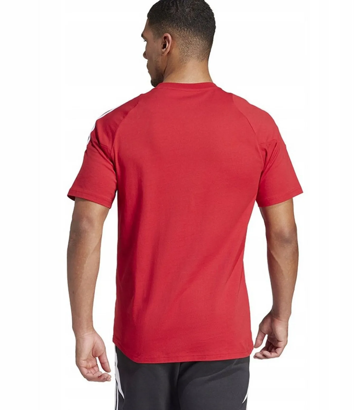 TIRO 24 SWEAT - T-shirt - Rood