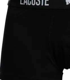 Trunk 3-Pack