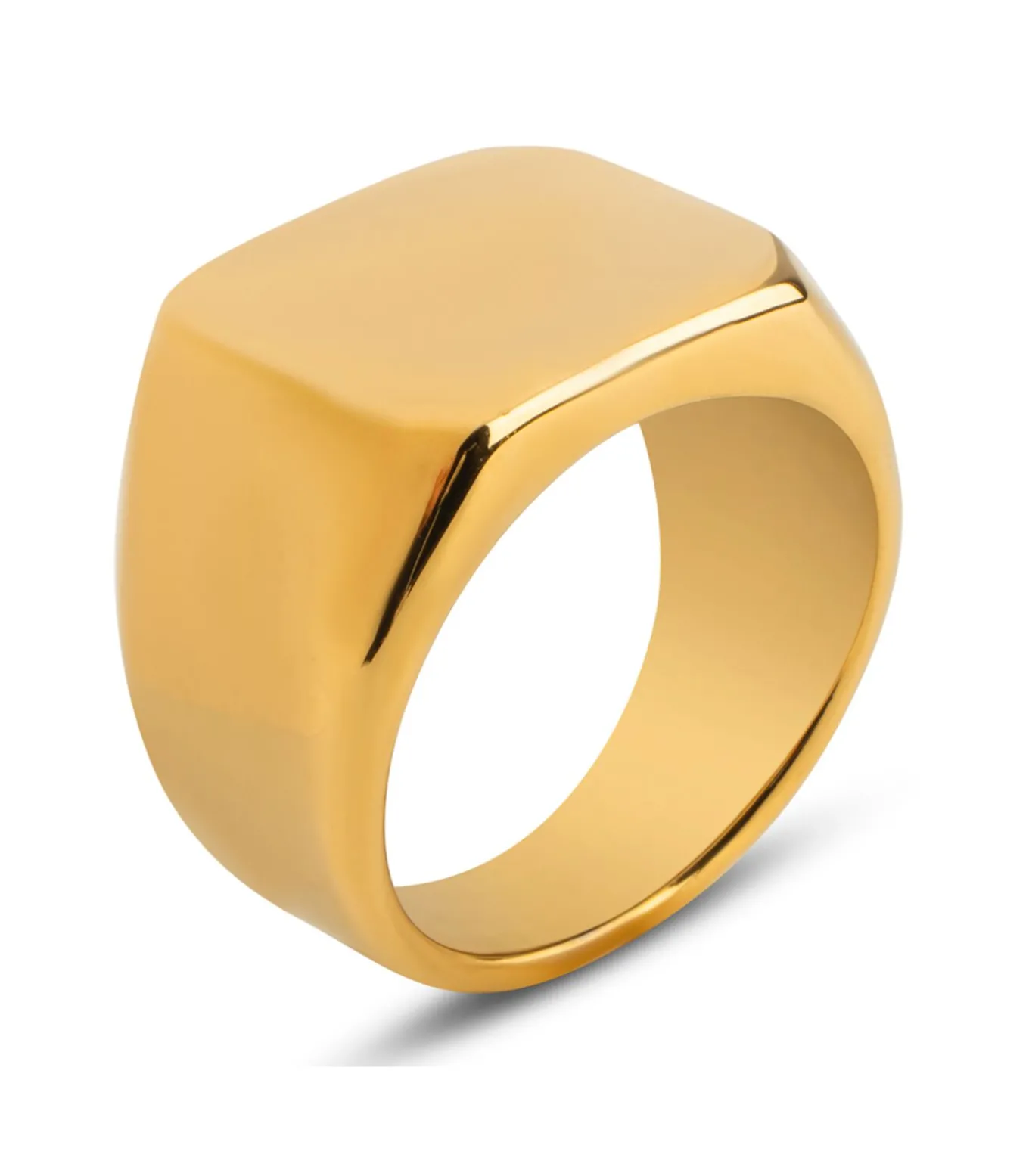 Zegelring Heren Goud Kleurig - Staal