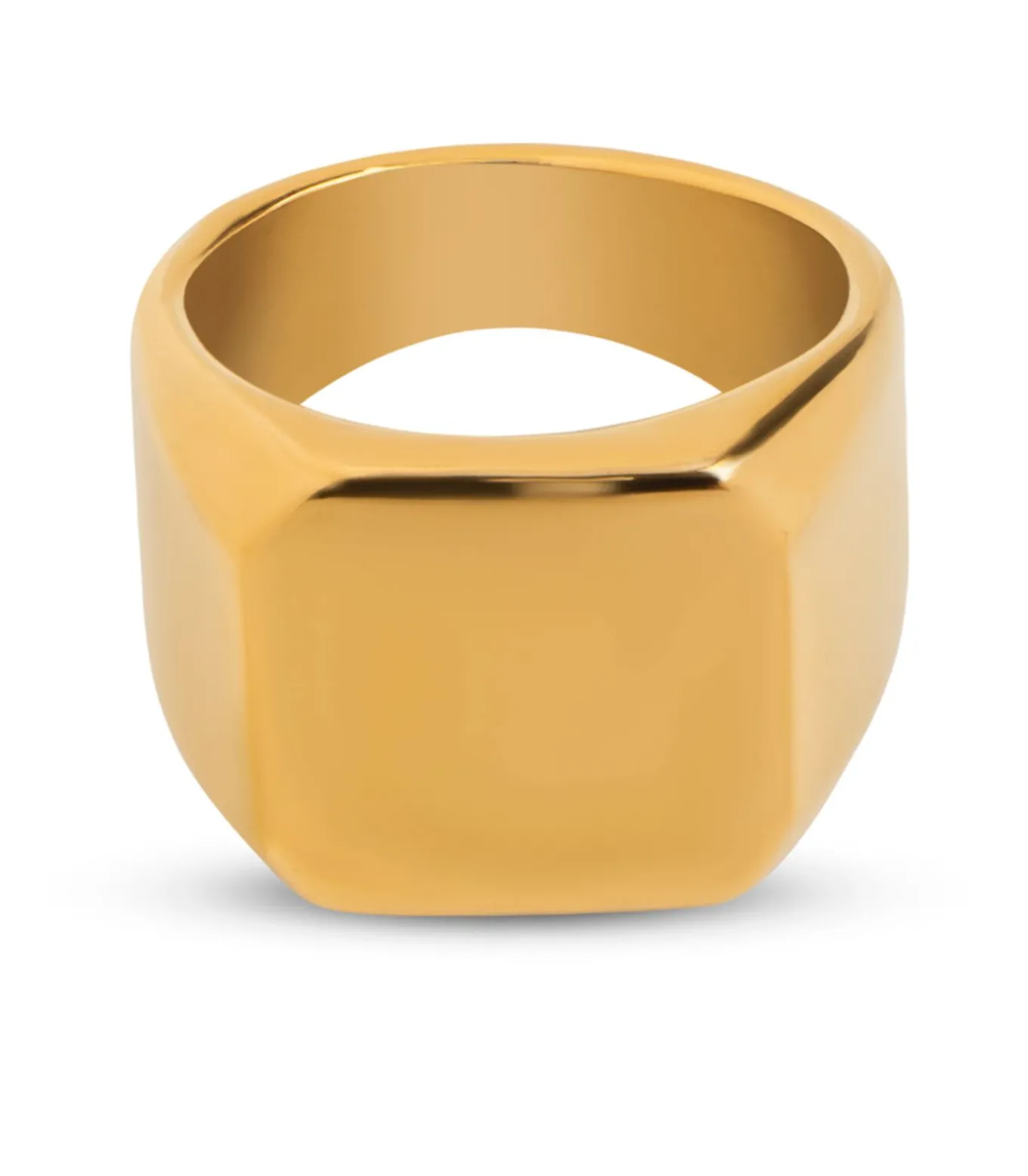 Zegelring Heren Goud Kleurig - Staal